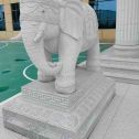 酒泉 白麻花岗岩动物异形石雕-大象